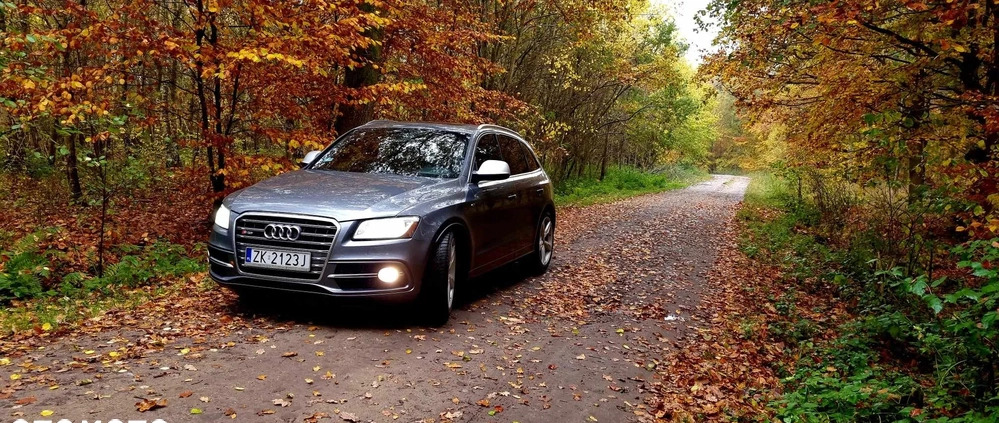 Audi SQ5 cena 89999 przebieg: 129000, rok produkcji 2013 z Koszalin małe 497